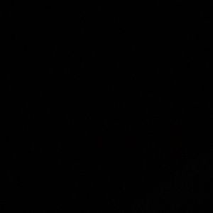 Meet your Posher, Ami